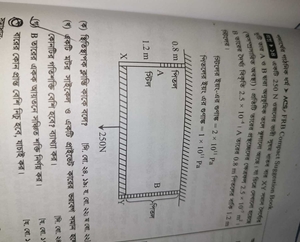 question preview
