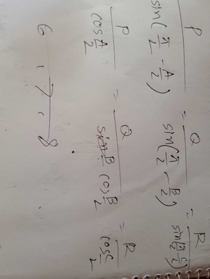 question preview